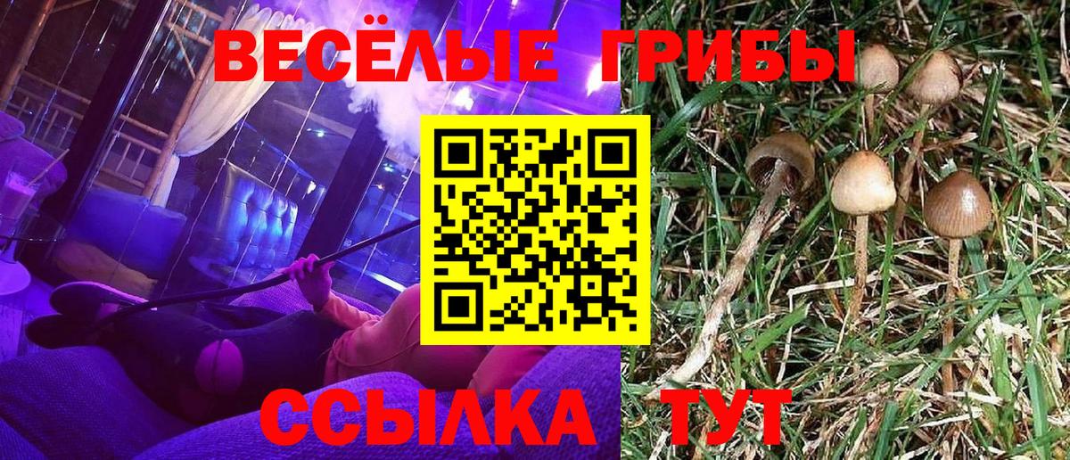 Волжск  Галлюциногенные грибы Magic Shrooms  Галлюциногенные грибы GOLDEN TEACHER  Вход с VPN 