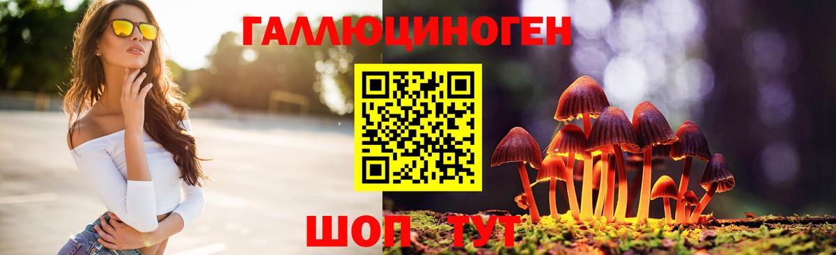Галлюциногенные грибы Psilocybe Волжск